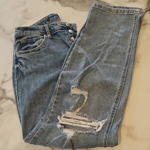 Wild Fable Distressed Jeans